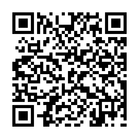 QR code for 387Z80