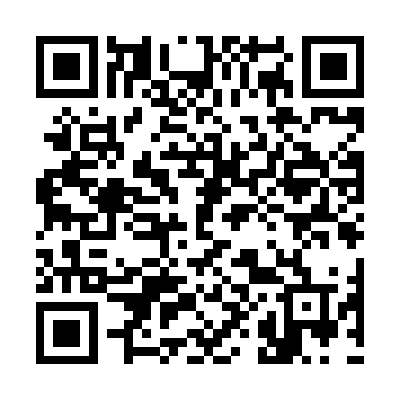 QR code for 389HOT