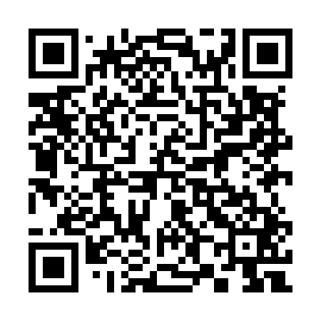QR code for 389M41