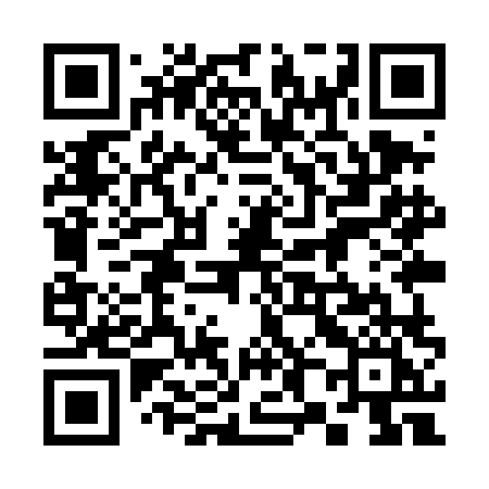 QR code for 389TLI