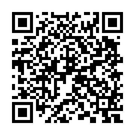 QR code for 38A481