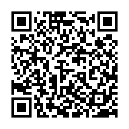 QR code for 38D511