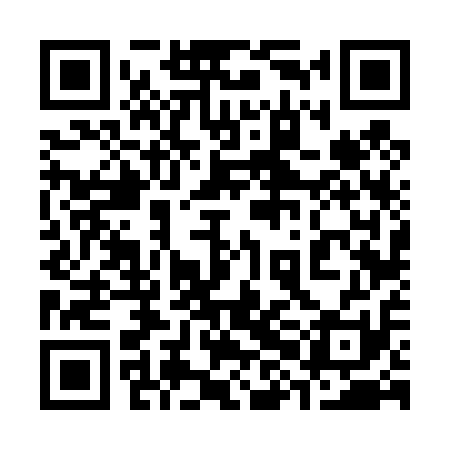 QR code for 38F411