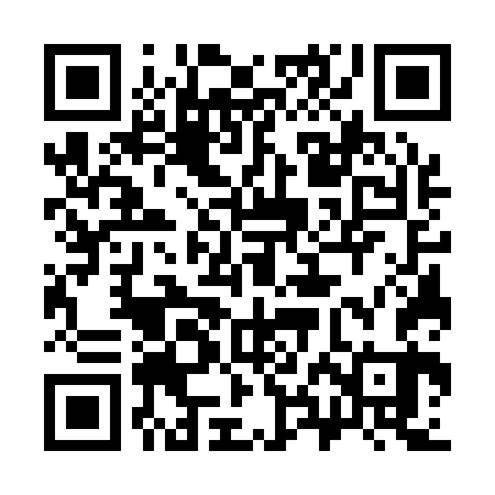 QR code for 38G163