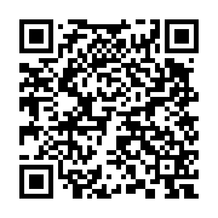 QR code for 38G461