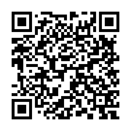 QR code for 38G873