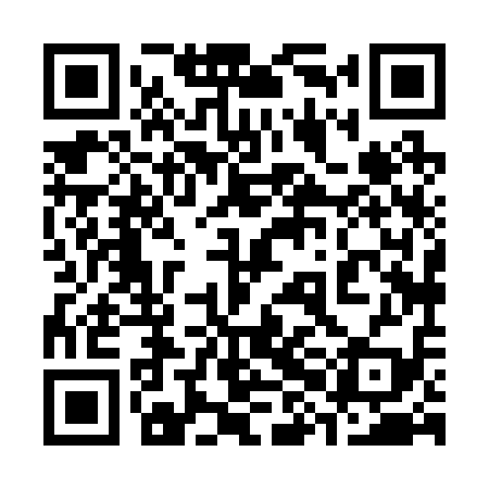 QR code for 38H219