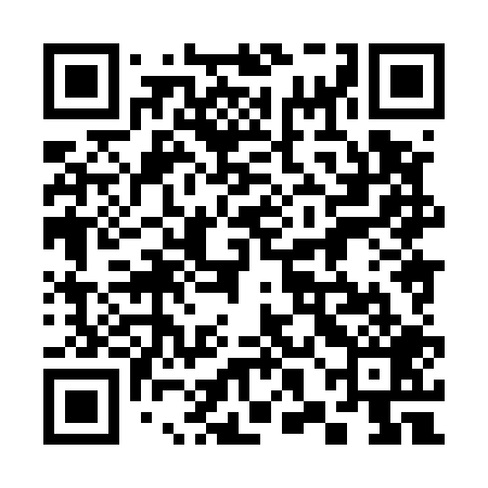 QR code for 38H509