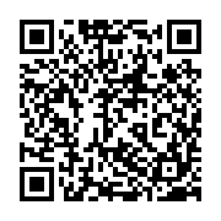 QR code for 38I294