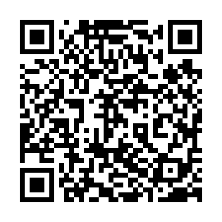 QR code for 38J619