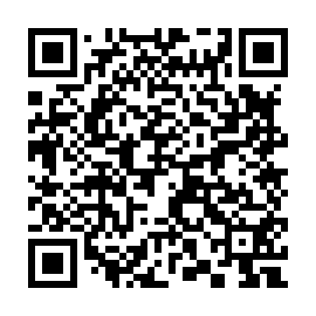 QR code for 38O850