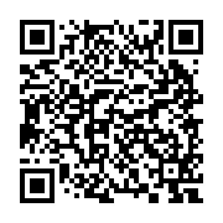 QR code for 38P295