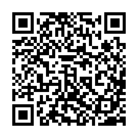 QR code for 38P381