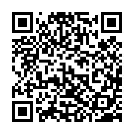 QR code for 38P458