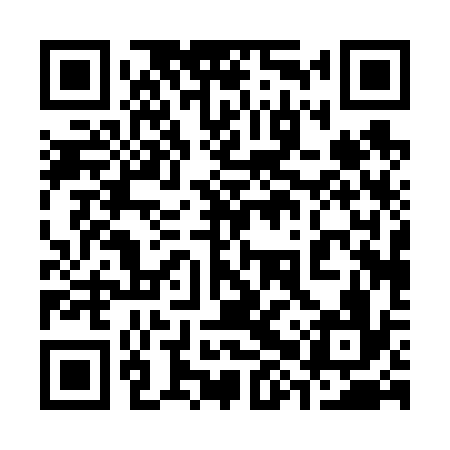 QR code for 38P636