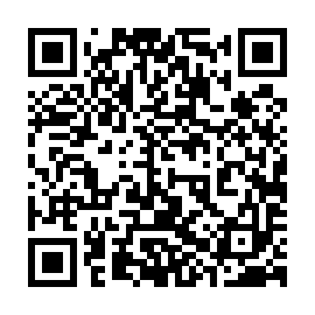 QR code for 38T593