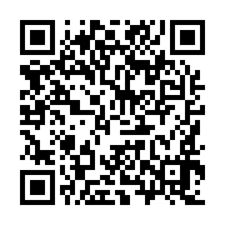 QR code for 38X197