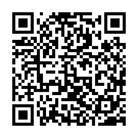 QR code for 38X275