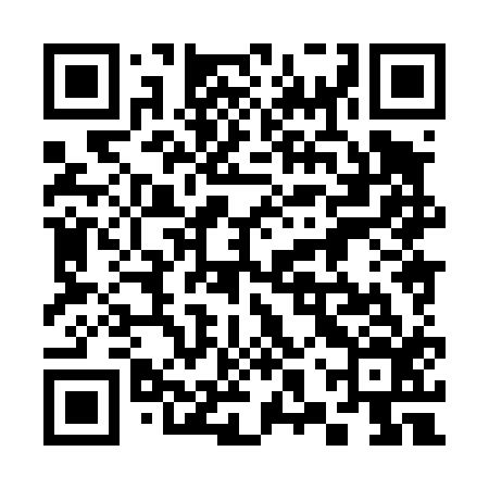 QR code for 38X416