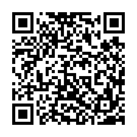 QR code for 38X636