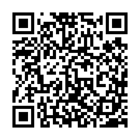 QR code for 38X641