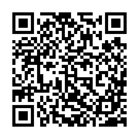 QR code for 38X687