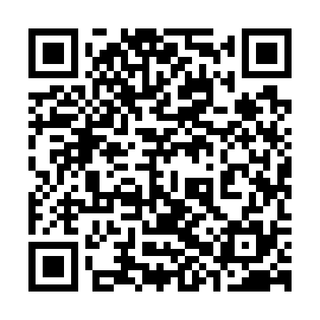 QR code for 38Y735