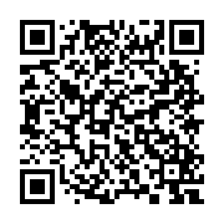 QR code for 38Y745