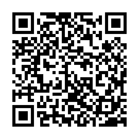 QR code for 38Z030