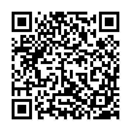 QR code for 38Z040
