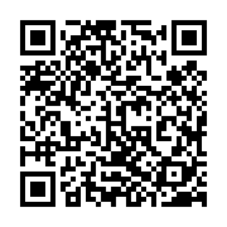 QR code for 38Z428