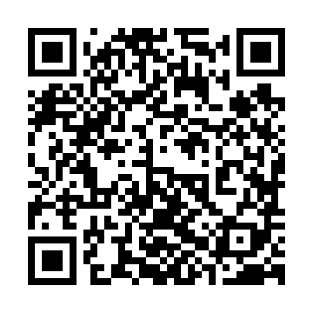 QR code for 38Z689