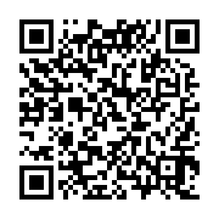 QR code for 38Z812