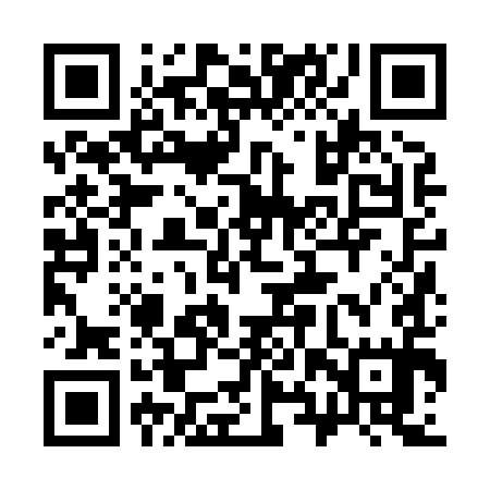 QR code for 38Z895