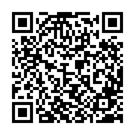 QR code for 390XDV