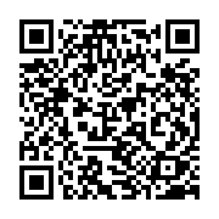 QR code for 391MAX