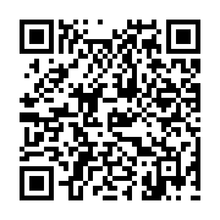 QR code for 391SSM