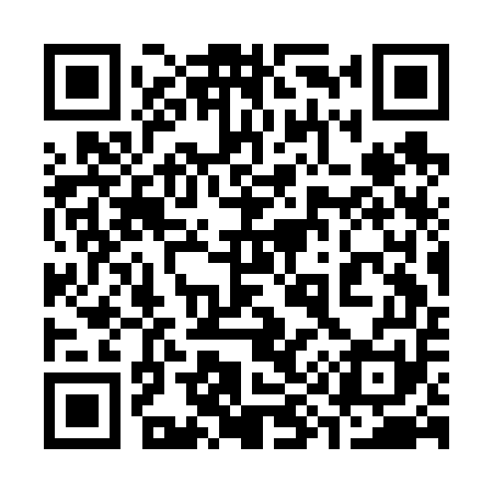 QR code for 393F51