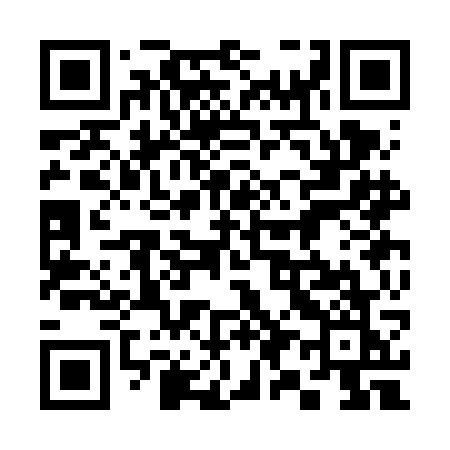 QR code for 393FGK
