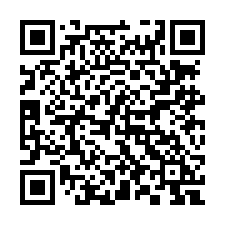 QR code for 393LBI