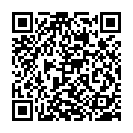 QR code for 393M38