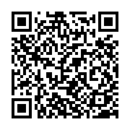 QR code for 393MIQ