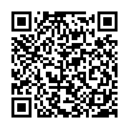 QR code for 393N71