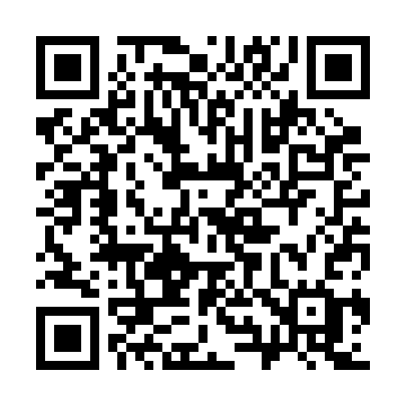 QR code for 393RCG
