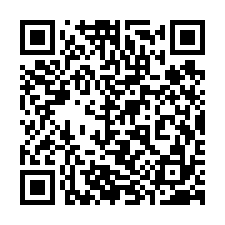 QR code for 393V32