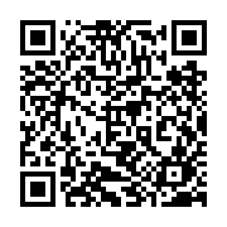 QR code for 393WAN