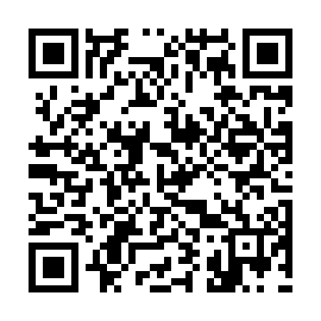 QR code for 394X06
