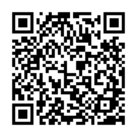 QR code for 395LLI