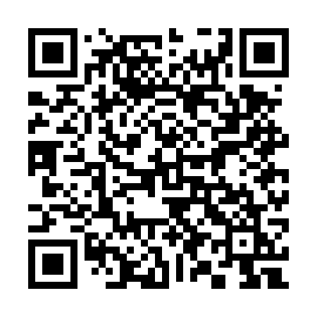 QR code for 397DWK