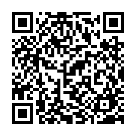 QR code for 397SIG